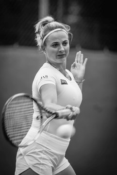 Bild 237 - BL Nord Der Club an der Alster - Bielefelder TTC : Ergebnis: 8:1